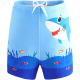 Boys Swim Trunks Toddler Swim Board Shorts Quick Dry Beach Swimwear Trunks Shorts Bathing Bottom for Boy Boys Swim Trunks Toddler Swim Board Shorts Quick Dry Beach Swimwear Trunks Shorts Bathing Bottom for Boy