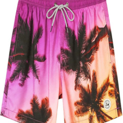 Mens Swim Trunks 5 Inch Swim Shorts Quick Dry Bathing Suits for Men Beach Shorts Mesh Lining Swimming Trunks