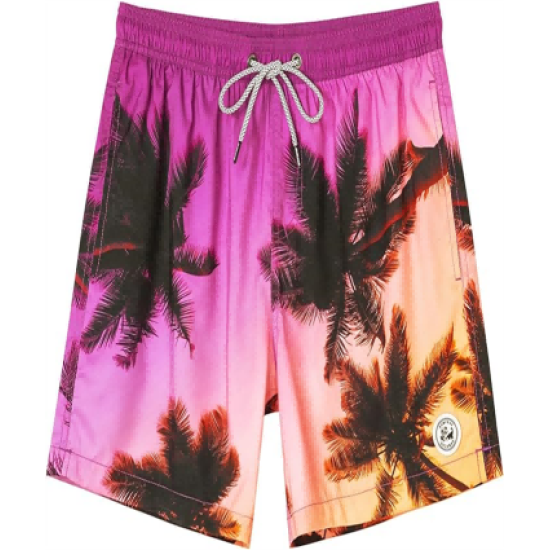 Mens Swim Trunks 5 Inch Swim Shorts Quick Dry Bathing Suits for Men Beach Shorts Mesh Lining Swimming Trunks Mens Swim Trunks 5 Inch Swim Shorts Quick Dry Bathing Suits for Men Beach Shorts Mesh Lining Swimming Trunks