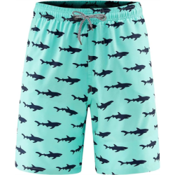 Men's Swim Trunks " Quick Dry Bathing Suit Big & Tall Beach Swimsuits