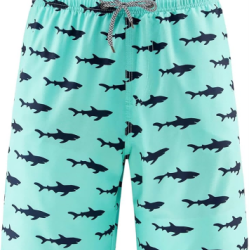 Men's Swim Trunks " Quick Dry Bathing Suit Big & Tall Beach Swimsuits