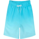 Mens Swim Trunks Quick Dry Bathing Suits Swim Shorts Mesh Liner with Pockets Mens Swim Trunks Quick Dry Bathing Suits Swim Shorts Mesh Liner with Pockets
